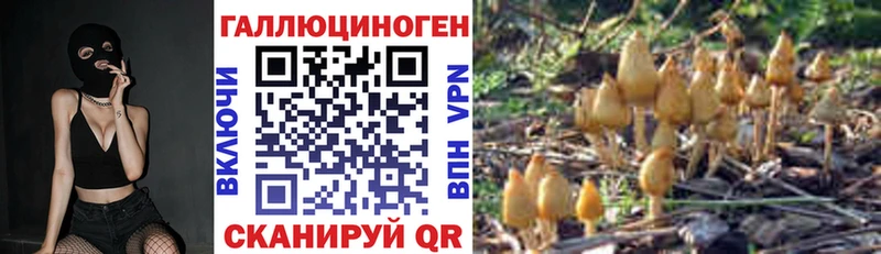 купить закладку  Видное  Галлюциногенные грибы GOLDEN TEACHER 