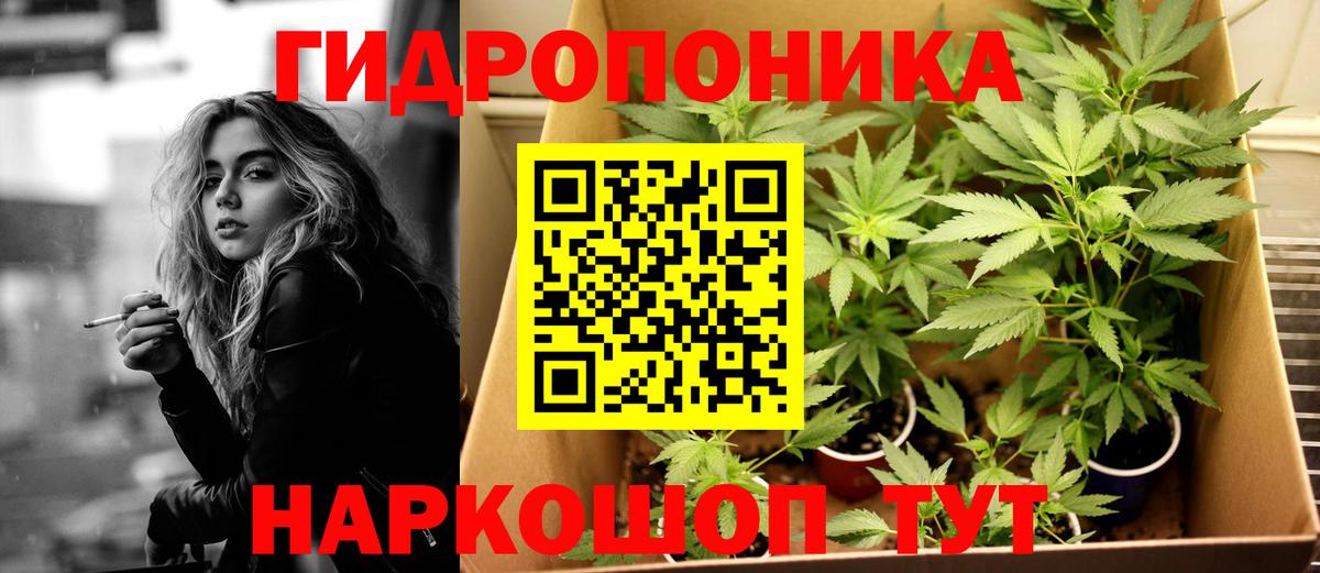 Видное  Шишки марихуана THC 21%  Канабис планчик  Вход с VPN 